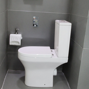 Nhà Sản Xuất Của Trắng Gốm Nhà Vệ Sinh Bát Dual-Flush Thiết Bị Vệ Sinh Nước Tủ Quần Áo Thương Mại Phương Tây <span class=keywords><strong>Commode</strong></span> P Trap Cho Nhà Vệ Sinh - Product Image 5