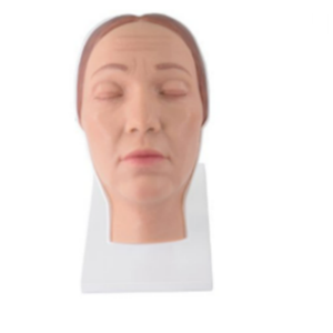 Modèle d'entraînement en silicone de tête humaine pour injections chirurgicales et cosmétiques avec nerfs faciaux et vaisseaux sanguins simulés - Product Image 2