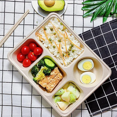 Biodegradable disposable food clamshell/3 5 compartments food box/tray