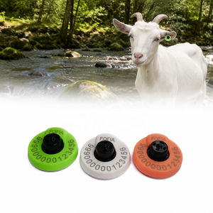 Etichette Auricolari in Plastica con Codice QR per Bestiame, Pecore e Suini - Nuove Etichette Numerate per Animali - Product Image 1