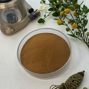 Preço de Atacado Extrato de Semente de Funcho Grau Alimentício Natural em Pó de Foeniculum Vulgare - Product Image 5