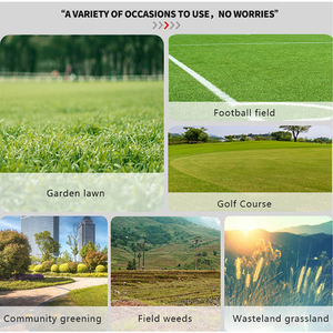 <span class=keywords><strong>เครื่อง</strong></span><span class=keywords><strong>ตัด</strong></span><span class=keywords><strong>หญ้า</strong></span>คุณภาพสูงลดราคาพิเศษ <span class=keywords><strong>เครื่อง</strong></span><span class=keywords><strong>ตัด</strong></span><span class=keywords><strong>หญ้า</strong></span>ไฮดรอลิกแบบฟลีล ขายด่วน - Product Image 6