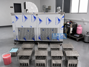 Ligne de production industrielle de 8 moules pour bâtonnets de glace / Machine à fabriquer des bâtonnets de crème glacée / Machine à fabriquer des glaces sur bâtonnet - Product Image 5