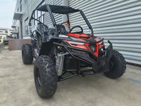 Go Kart Todoterreno 2026 Easy-go, Nuevo, de Alta Velocidad, 200cc/300cc, Precio Económico, 2 Plazas, a Gasolina, Buggy para Adultos