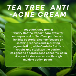 Private Label LANORIENT Tea Tree <strong>Skin</strong> Care Products Vegan Facial Repair Tea Tree Face Cream <strong>for</strong> Black <strong>Skin</strong> - Product Image 3