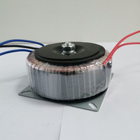 Transformateur toroïdal personnalisé 300VA 300W Entrée 110V 220V 230V Sortie 12V 18V 24V 26V 28V 45V pour alimentation Amplificateur audio