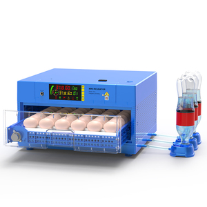 Máy Ấp Trứng 35 Nhiệt Độ Và Độ Ẩm Tự Động Hoàn Toàn Giá Xuất Xưởng Để Ấp Trứng Gà Gà Lôi Ngỗng Chim Cút - Product Image 2