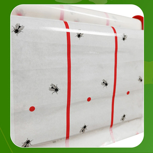 Đèn lồng bay bẫy 4M Fly <span class=keywords><strong>Tree</strong></span> <span class=keywords><strong>Trap</strong></span> Dải dính ngoài trời trái cây keo dải băng dùng một lần trong nhà tờ giấy để bảo vệ - Product Image 2