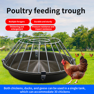 Comedero para Aves de Corral, Pollos, Patos y Gansos, Equipo de Alimentación para Cría de <span class=keywords><strong>Pollitos</strong></span> - Product Image 2