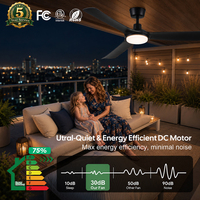 Ventilateur de plafond 56 pouces avec télécommande, moteur BLDC, 6 vitesses, pales en ABS, étanche IP66, idéal pour hôtels, véranda, patio, balcon - Fabrication OEM/ODM