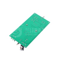 Module amplificateur numérique de subwoofer mono haute puissance 600W classe D TPA3255, qualité audiophile