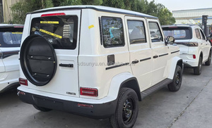 Per <span class=keywords><strong>Geely</strong></span> Panda Mini EV a buon mercato piccola Auto elettrica nuovo veicolo di energia dalla cina Auto usate - Product Image 3