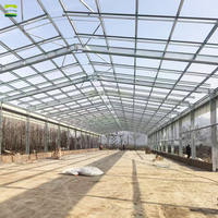 Bâtiment avicole préfabriqué en acier de grande capacité pour poulets de chair et poules pondeuses