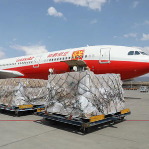 Serviço de Agente de Transporte da China Porta a Porta DHL UPS FedEx TNT Courier Fretes Aéreos Expressos para o Líbano, Sudão, Israel, Iêmen - Product Image 6