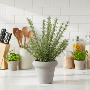 Fournisseur Oh Arts - Vente en gros de plantes artificielles en pot, <span class=keywords><strong>thym</strong></span> floqué pour la décoration intérieure - Product Image 4