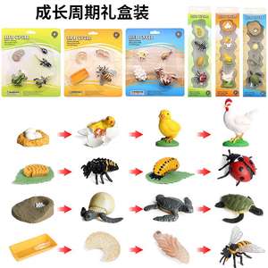 Yxs niños Montessori enseñanza SIDA simulación vida silvestre modelo Gallo tortuga ciclo <span class=keywords><strong>de</strong></span> crecimiento Juguetes - Product Image 3