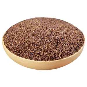 Chinese Traditional Herb Tu Si Zi Natural Dried Herbs Chinese Dodder Semen Cuscutae