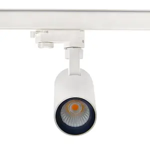 Sistema di illuminazione a binario a Led per apparecchi di illuminazione a RONSE 3 fili CE SAA regolare luci a Led Set 20w 30w 40w Casambi Focos Tuya Sport Light Track