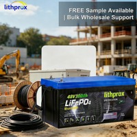 Batería de energía para montacargas de 48V 300AH, grado A, LiFePO4, baja autodescarga, para transpaleta eléctrica, UL CE RoHS MSDS OEM ODM, venta al por mayor