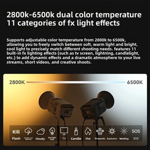 Godox LE200/300/600W Lumière d'appoint bicolore pour diffusion en direct avec contrôle DMX/télécommande pour la photographie vidéo professionnelle et les présentateurs - Product Image 3