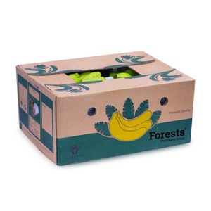 Custom Shipping Box Mailers Printing Paper Corrugated Banana Carton Box