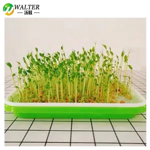 Seed Sprouter Tray BPA Free Bean Sprout Grower Germination Kit