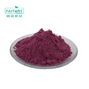 100% natural mulberry extract/mulberry concentrate powder anthocyanin