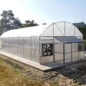 Venta directa de fábrica, invernadero barato, invernadero de túnel de un solo tramo utilizado para tomate y fresa - Product Image 1