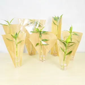 Couverture de Pot de fleur Kraft à manches en papier 3 pièces, emballage Floral, sac de matériau en pp pour Pot de plante, emballage portable