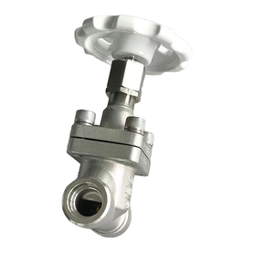 Válvula Criogénica DJ61F40P DN20 para Aplicaciones de GNL, LO2, LN2, LAr y CO2, Válvula Criogénica DJ-20GN - Product Image 2