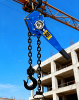 Palans à chaîne manuels en acier allié robuste 1,5T 5T, engrenages résistants à l'usure pour atelier, construction, outil de levage