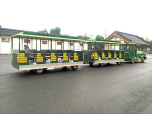 CE-gecertificeerde Trem Turistico Resort toeristische trein, luxe gekleurde aantrekkelijke toeristische trein voor commerciële attracties - Product Image 5