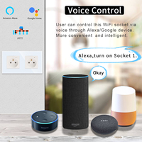 Prise murale intelligente double française en gros avec contrôle à distance Zigbee et mesure de la consommation d'énergie pour projets hôteliers et villas