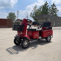 Scooter Eléctrico de 2 Plazas y 4 Ruedas de Fábrica China con Caja de Carga Trasera, Control Manual y Marco Antioxidante para Viviendas con Vista al Mar y Villas de Montaña