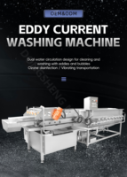 Commerciële kipfilet reiniger, fruitwasmachine, elektrische knoflookwasmachine, slakkenvleeswasmachine
