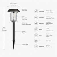 Lampe solaire de jardin 55 cm en acier inoxydable noir, éclairage de chemin 2700K 14lm IP67 avec capteur de lumière pour cour et patio