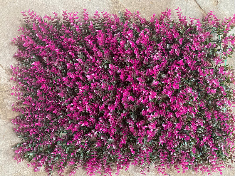 ยูคาลิปตัสสีเขียวม่วง