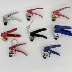 Válvula de Latón y Cobre para Extintor de Incendios con Certificación ISO CE, Válvula Cromada, Accesorios para Extintores de Incendios, Interruptor, Proveedor de Equipos Contra Incendios - Product Image 1