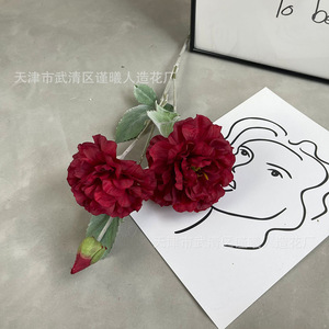 Bonsaï de fleurs artificielles Jinxi 30cm-100cm, fleurs en soie, décoration de mariage, décoration de la maison, arrangement de branches - Product Image 3