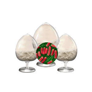 China Wholesale <strong>Probioticos</strong> Supplement Lactiplantibacillus Plantarum Plantarum 20 Billion CFU/g Powder - Product Image 1
