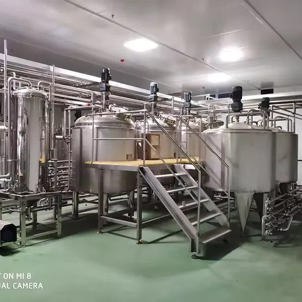 Complete Kokosmelk Productielijn Kokos Water Verwerkingsfabriek
