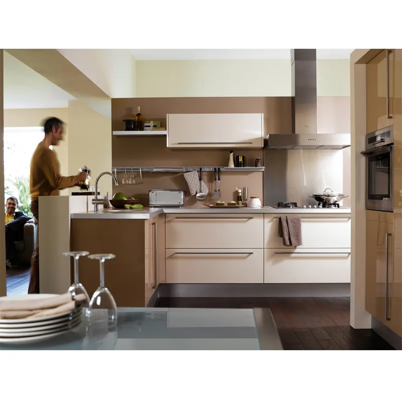 Custom-built European Style Kitchen Cabinet For Home Use