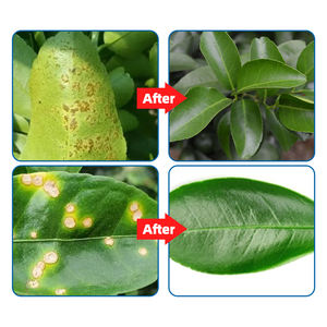 FERTILIZANTE ESPECIALIZADO DE ALTO RENDIMIENTO <span class=keywords><strong>para</strong></span> árboles <span class=keywords><strong>frutales</strong></span> Fertilizante Orgánico Soluble en Agua Fertilizante Orgánico - Product Image 3