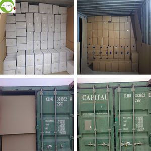 Высококачественные очищенные сырые сушеные ядра арахиса для снеков по гарантированно выгодной цене - Product Image 6