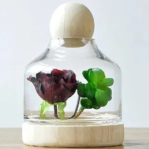 透明ガラス花瓶装飾テラリウム丸型ログボールLIDS