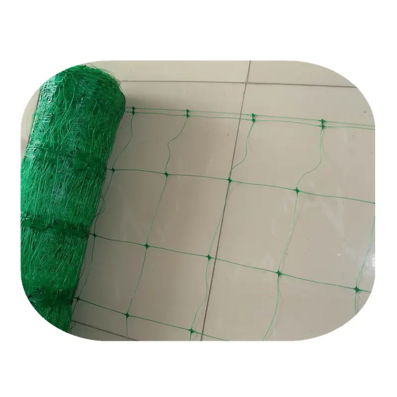 Prix moins cher Green Trellis Bean Net pour les plantes