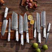 Ensemble de couteaux de cuisine japonais professionnels 10 pièces, acier Damas 67 couches AUS-10 avec manche en pierre turquoise blanche