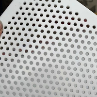 Tablero Perforado de Polipropileno PP, Placa Perforada de HDPE, Servicio de Corte y Moldeo de Plástico Extruido, Modelo de Techo de Color Personalizado