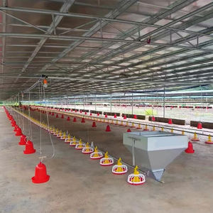 Автоматический кормушка для бройлеров, птицефабрики, эффективное оборудование для кормления кур - Product Image 1
