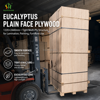 Contrachapado de Madera Dura de Eucalipto, Lijado por Ambos Lados, para Embalaje, Cajas de Paletización, Encofrados de Hormigón, Grado WBP MR E1